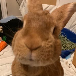 Meet your Posher, Haley